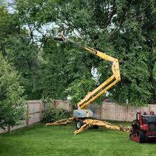 Pest Control for Lawns in Whitinsville, MA