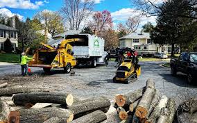 Best Firewood Processing and Delivery  in Whitinsville, MA